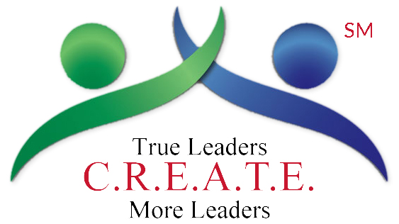 Leadership Development - Grayslake, IL - LFS Consulting LLC