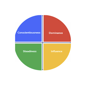 LFS Consulting DISC