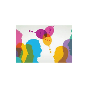 LFS Consulting DISC + EIQ