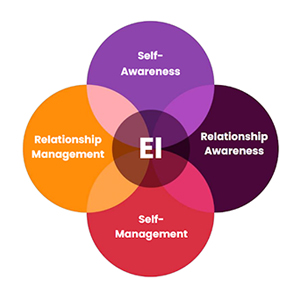 LFS Consulting EIQ